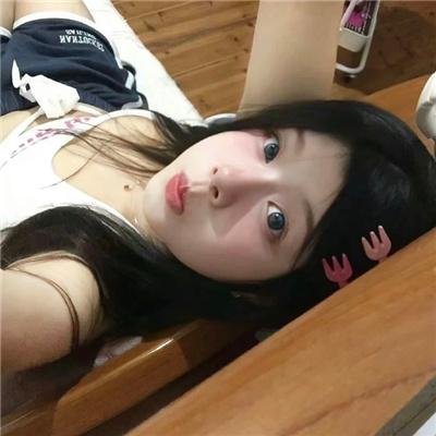 好莱坞狗日子